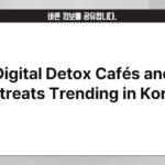 Digital Detox Cafés and Retreats Trending in Korea