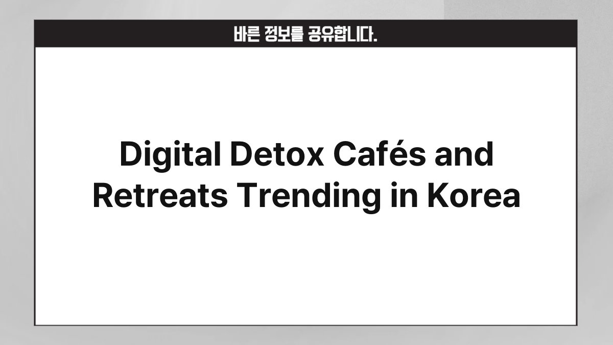 Digital Detox Cafés and Retreats Trending in Korea 1