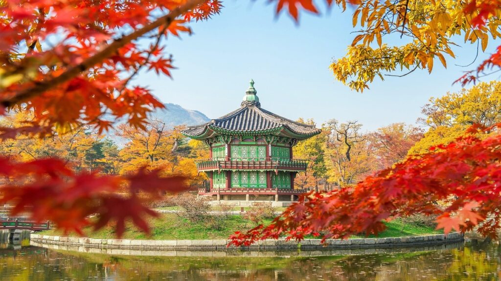 2025, 서울 미쉐린 빕구르망 선정 식당 분석 — 가격대별 정리 1