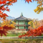 2025, 서울 미쉐린 빕구르망 선정 식당 분석 — 가격대별 정리