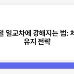 봄철 일교차에 강해지는 법: 체온 유지 전략