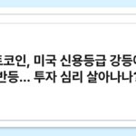 비트코인, 미국 신용등급 강등에도 반등