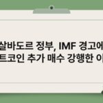 엘살바도르 정부, IMF 경고에도 비트코인 추가 매수 강행한 이유