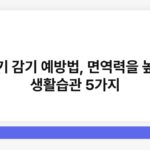 환절기 감기 예방법, 면역력을 높이는 생활습관 5가지